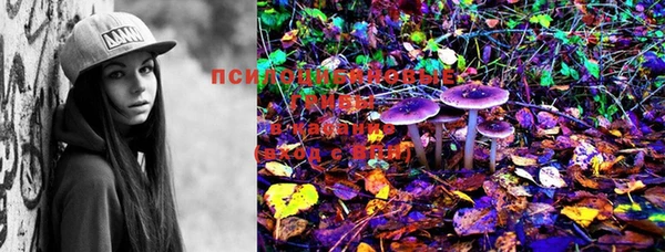 PSILOCYBIN Лабытнанги