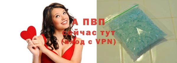 PSILOCYBIN Лабытнанги