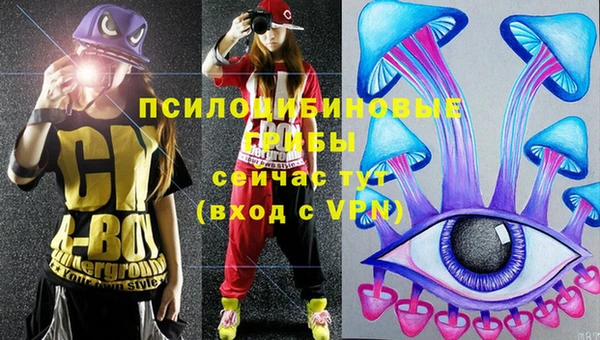 PSILOCYBIN Лабытнанги