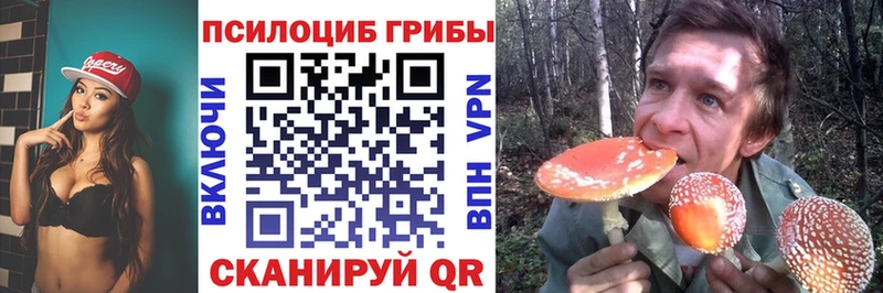 что такое наркотик  Никольск  Псилоцибиновые грибы Magic Shrooms 